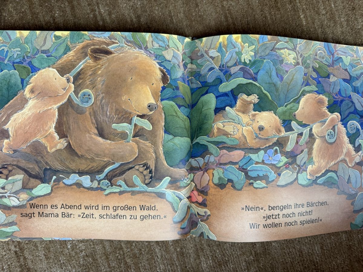 Livres: Bilderbuch - Wenn es Abend wird im Wald – Neuf (Voir description) à Aarau par Kilauea 2