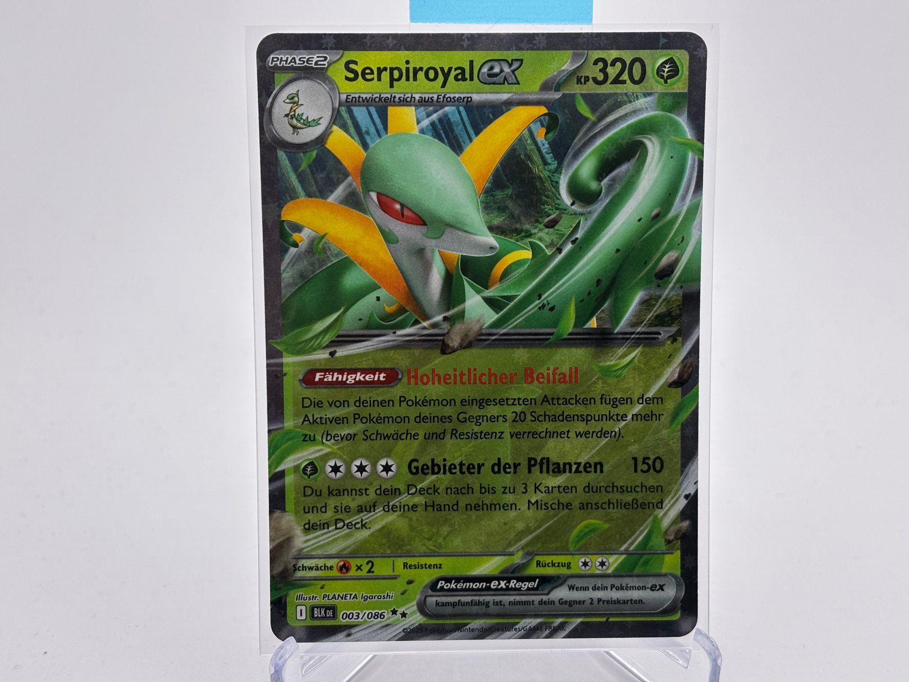 Pokémon Carte collezionabili: Schwarze Blitze - Serpiroyal ex  (BLK 3) - DE – Nuovo (secondo la descrizione) da Allschwil venduto da Bullach