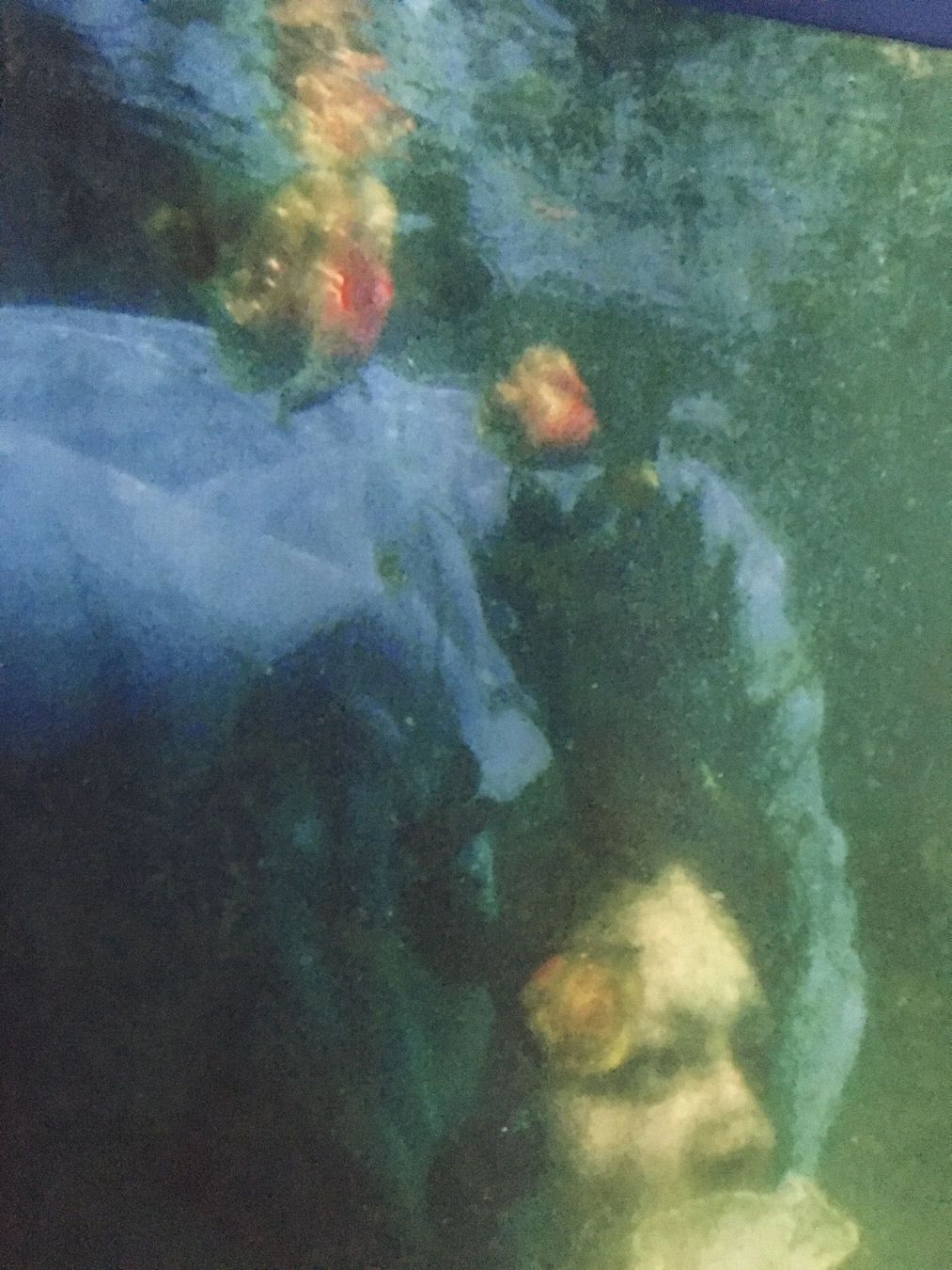 Foto & Immagini: Stoffbild Wassernixen Perlen Rosen See – Nuovo (secondo la descrizione) da Kreuzlingen venduto da Muschel64 7