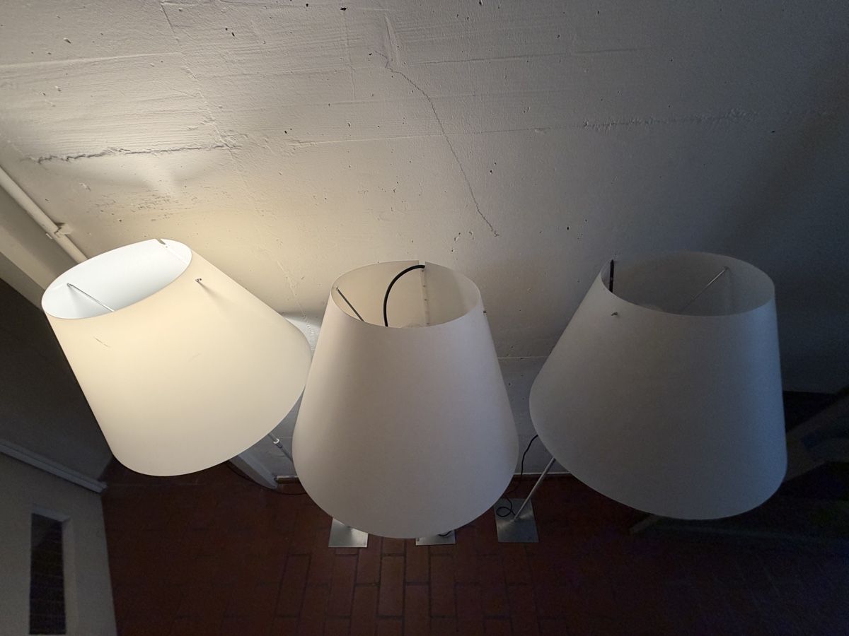 Luceplan Lampade: Stehleuchten - 3x Original Luceplan Costanza  – Usato da Laufen venduto da lid_lbx5 1