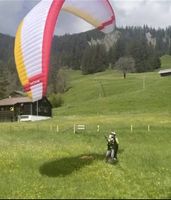 Gleitschirm Nova Codex S
