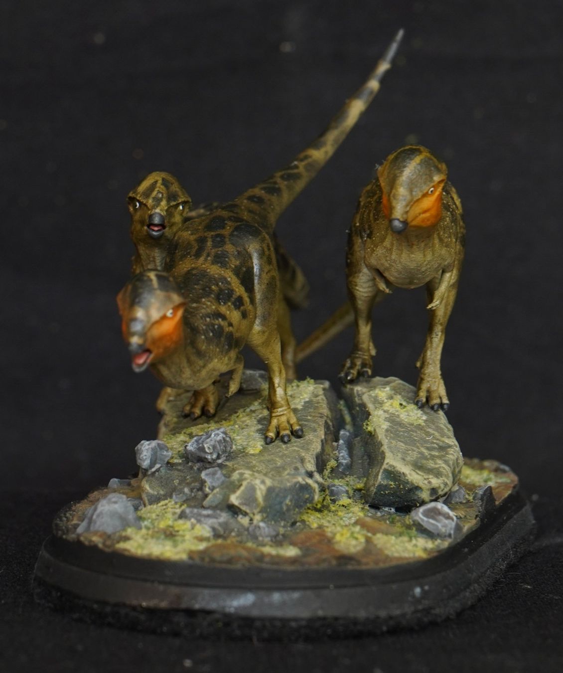 Statuette: Prenocephale 1:35 3D printed Model Dinosauria – Usato da Selzach venduto da Ataraxus 1