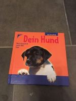 Dein Hund was er braucht u was er alles