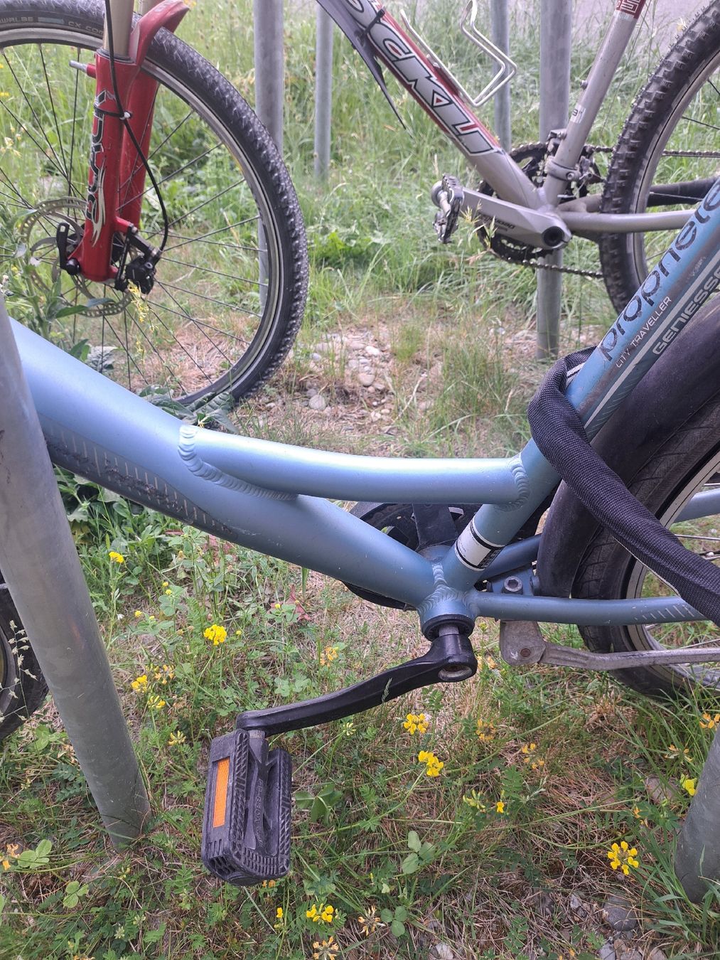Biciclette: Prophete Citybike – Usato da Zürich venduto da Pepsilon 6
