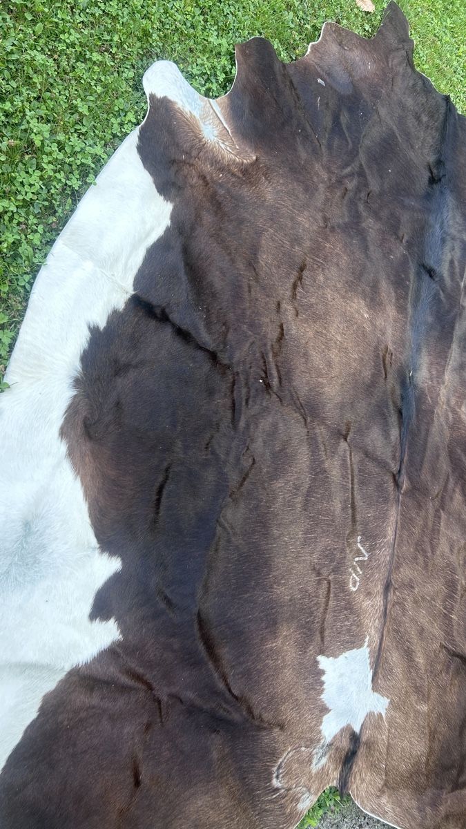 Teppiche: Kuhfell Teppich  – Gebraucht aus Zürich von Runakaja 1