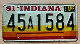 Indiana USA Nummernschild 1981, 45A1584