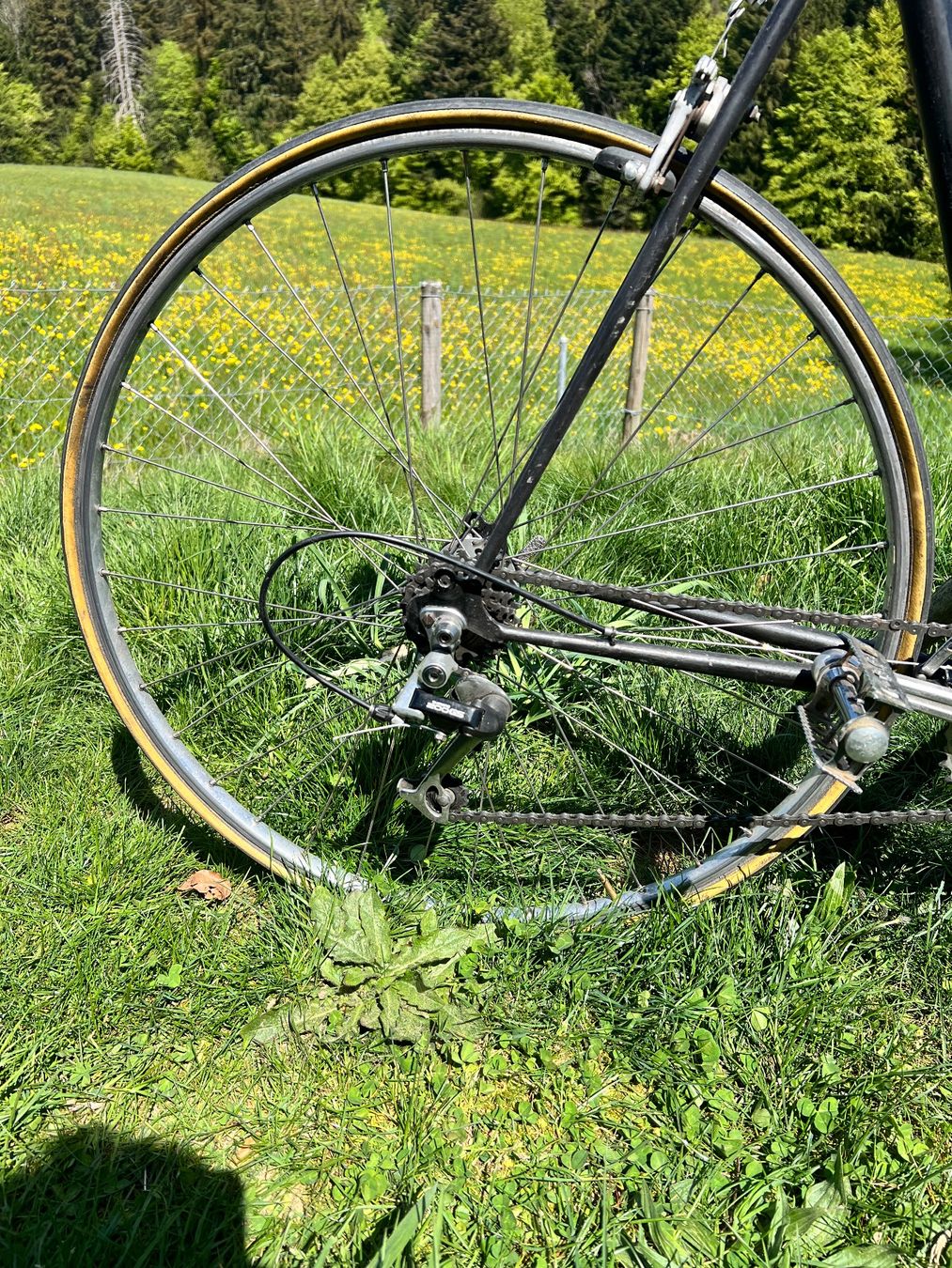 Biciclette: Vélo Vintage noir – Usato da Lausanne 26 venduto da twa_q6nq 3