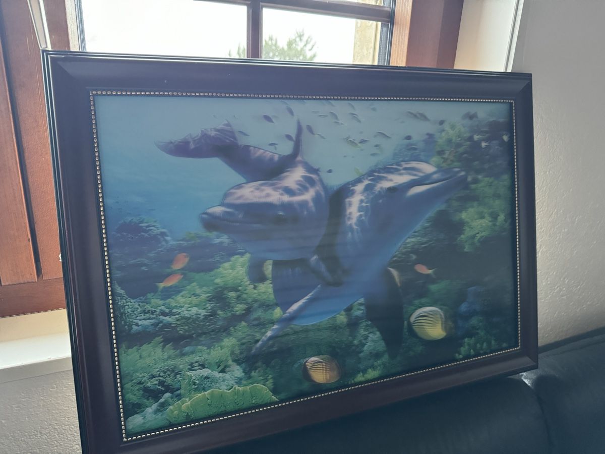 Giocattoli: Tableau 3D dauphin – Usato da Mont-sur-Lausanne venduto da Fun_Case 2