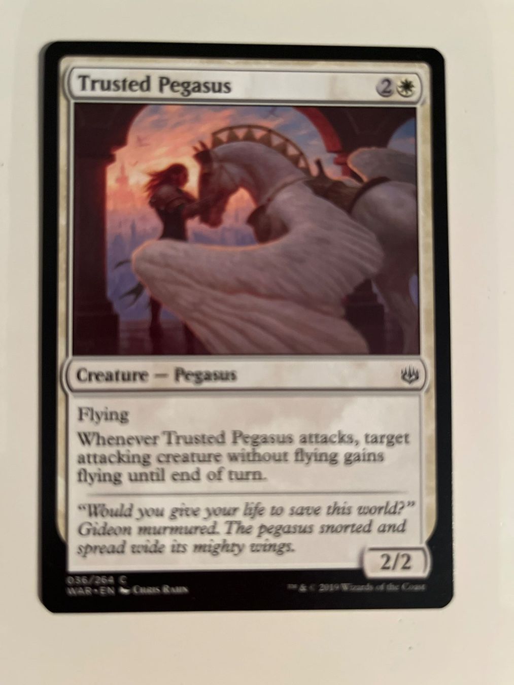 Magic The Gathering Carte collezionabili: 1 x Trusted Pegasus - Magic: The Gathering - MtG – Usato da Kriens venduto da Shadi1980