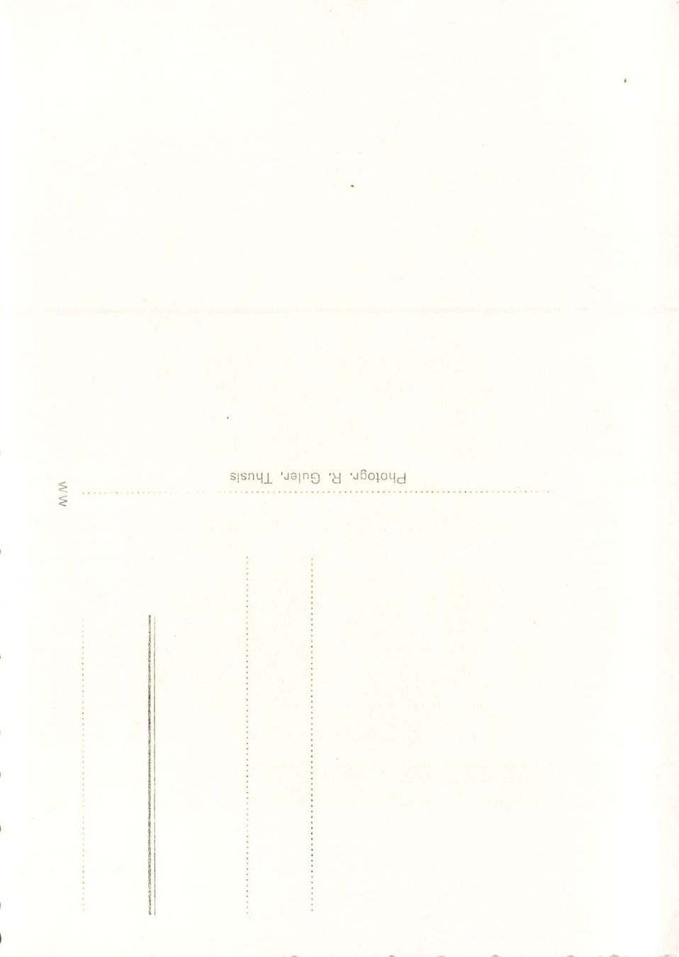 Cartoline postali: Avers-Juf gegen Forcellina – Usato da Schwyz venduto da Seffi56 1