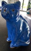 Katze in Blau