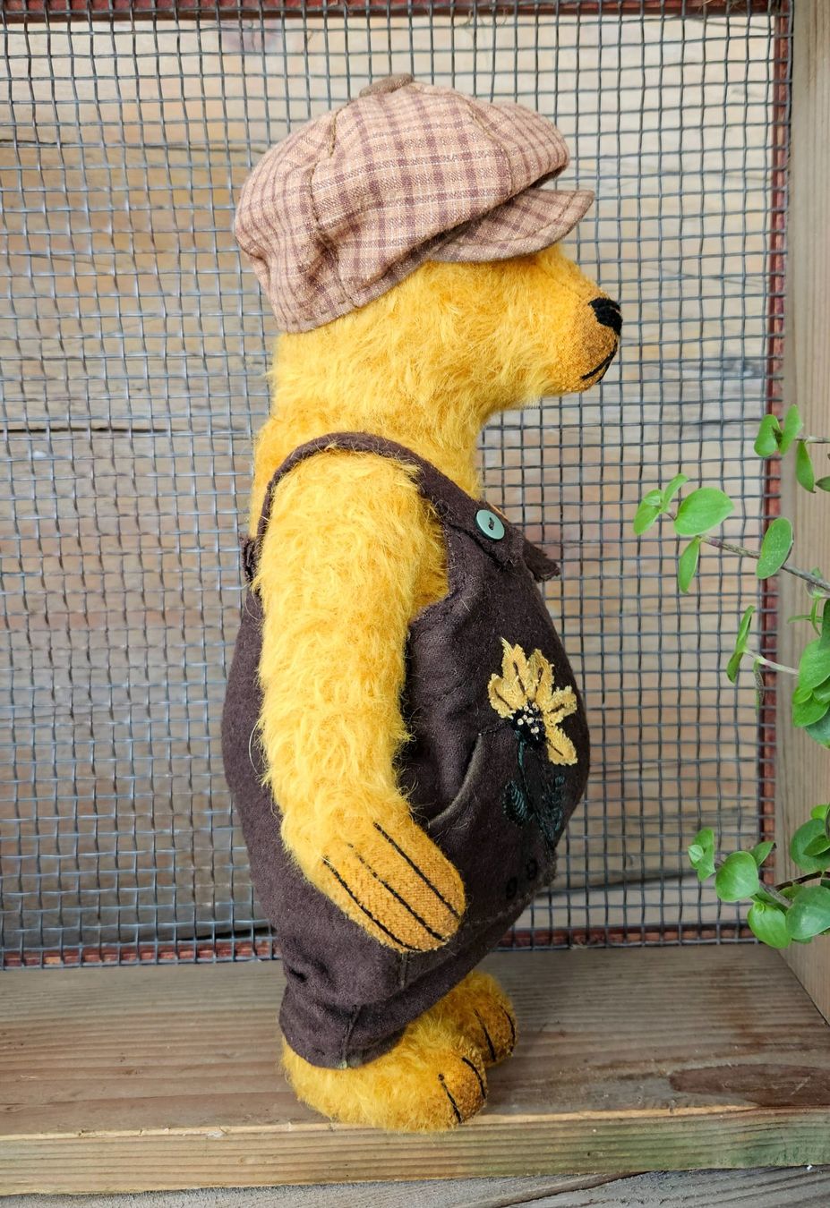 Spielzeuge: Teddybär, Sammler teddy – Neu (gemäss Beschreibung) aus Chur von nataliiaw 3