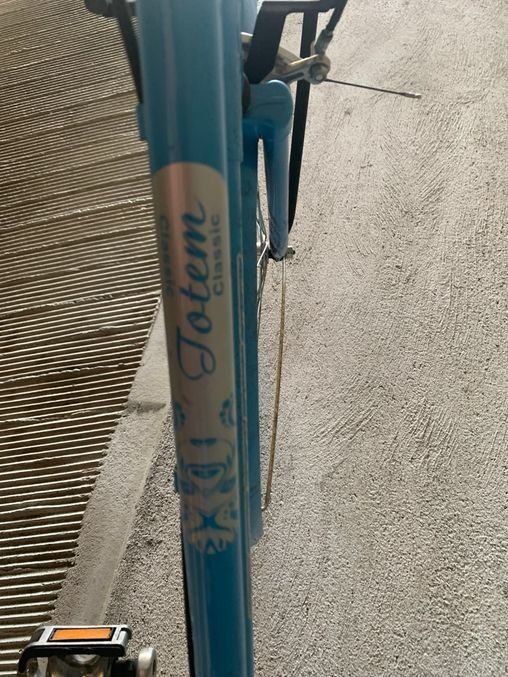 Totem Velos: Fahrrad Totem Classic – Gebraucht aus Laufen von tannbibi 3