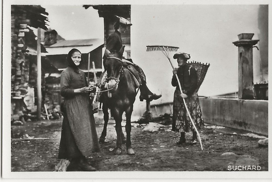 Foto & Immagini: Val d' Anniviers, Maultier, Suchard – Usato da Frauenfeld venduto da Merk52