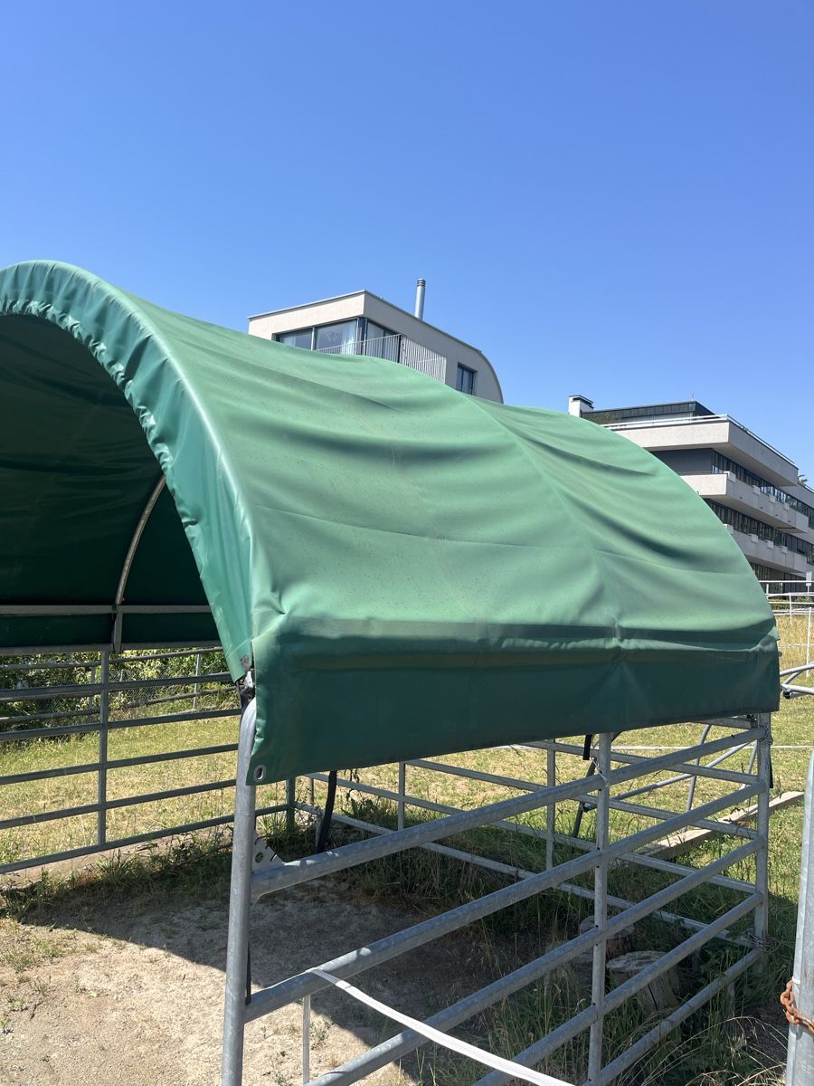 Abris: Pferdeunterstand Unterstand – D'occasion à Zürich par Bubballi 4