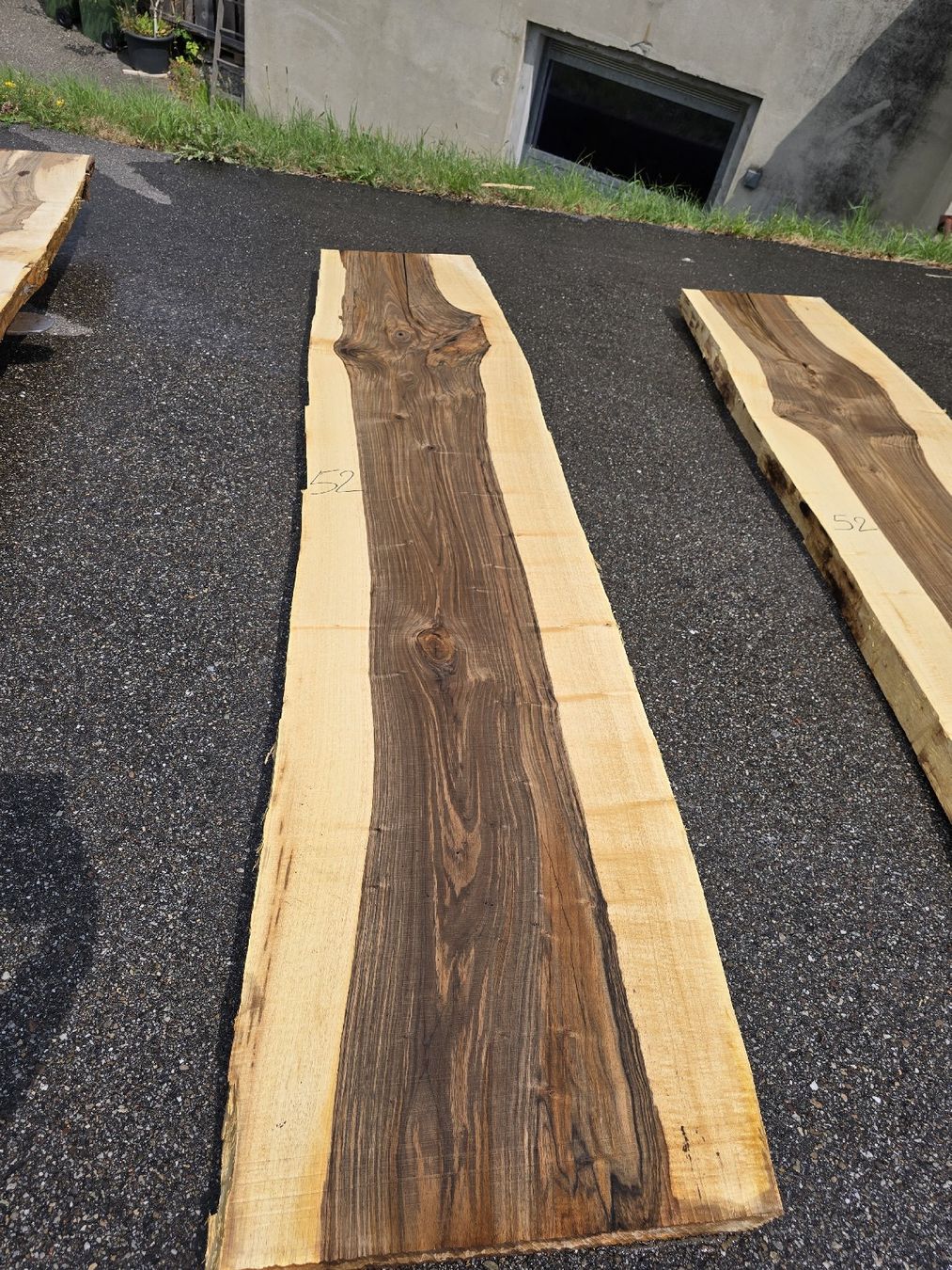 Articoli in legno: Nussbaumstamm frisch – Nuovo (secondo la descrizione) da Ramsei venduto da Waelchris 3
