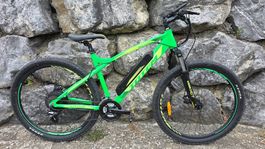 E-Bike Mountainbike im guten Zustand