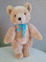 Ours  , selon photos