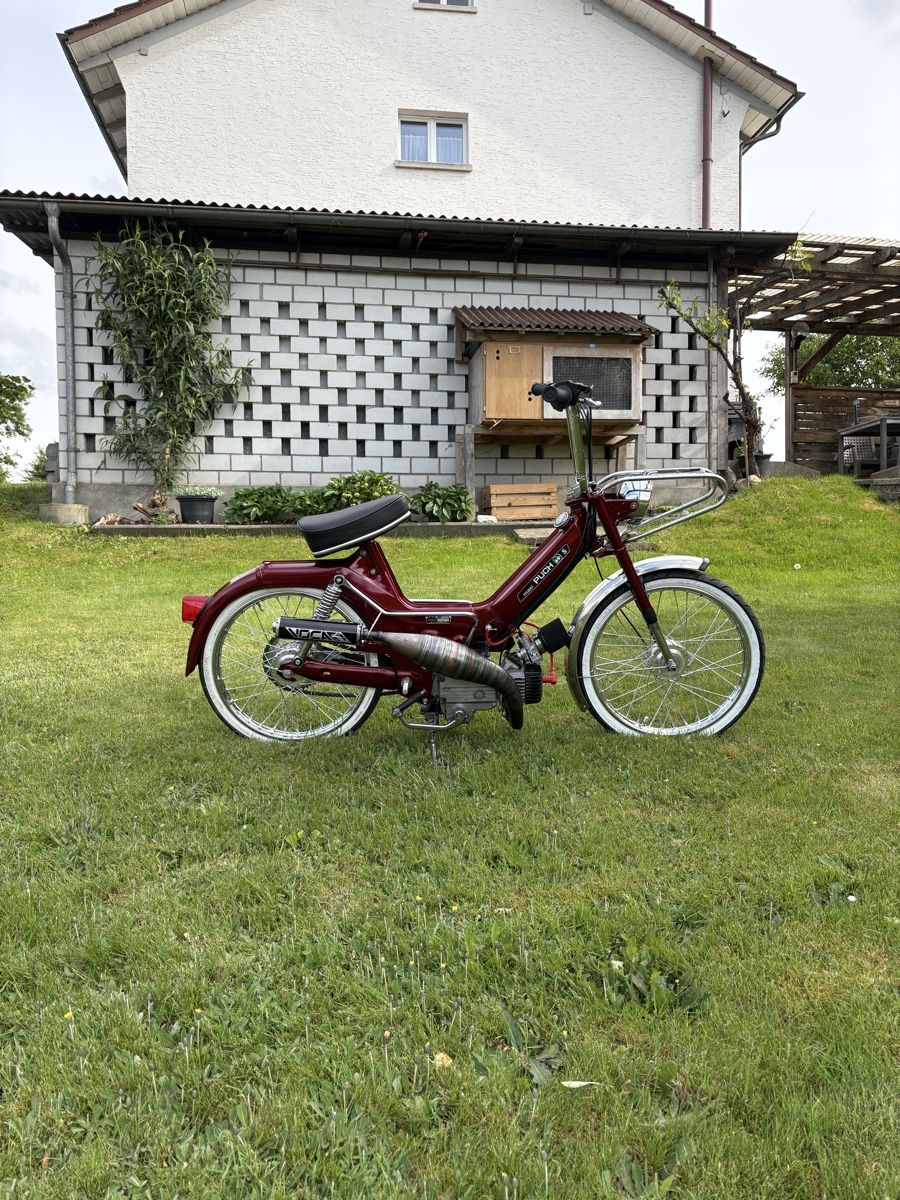 Puch Ciclomotori: Puch Maxi S – Usato da Amlikon-Bissegg venduto da PiotrB01 3