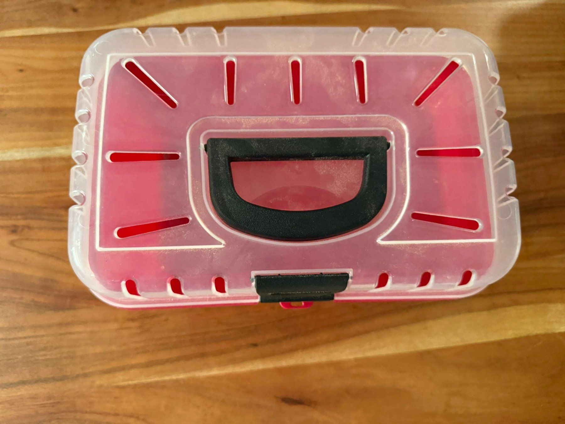 Gabbie, trasporto & Sicurezza: Transportbox für Kleintiere – Usato da Zollikofen venduto da hri_r8pr 1