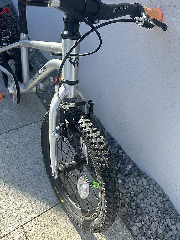 Early Rider Biciclette: Eary Rider – Usato da Forch venduto da Laleonie 2
