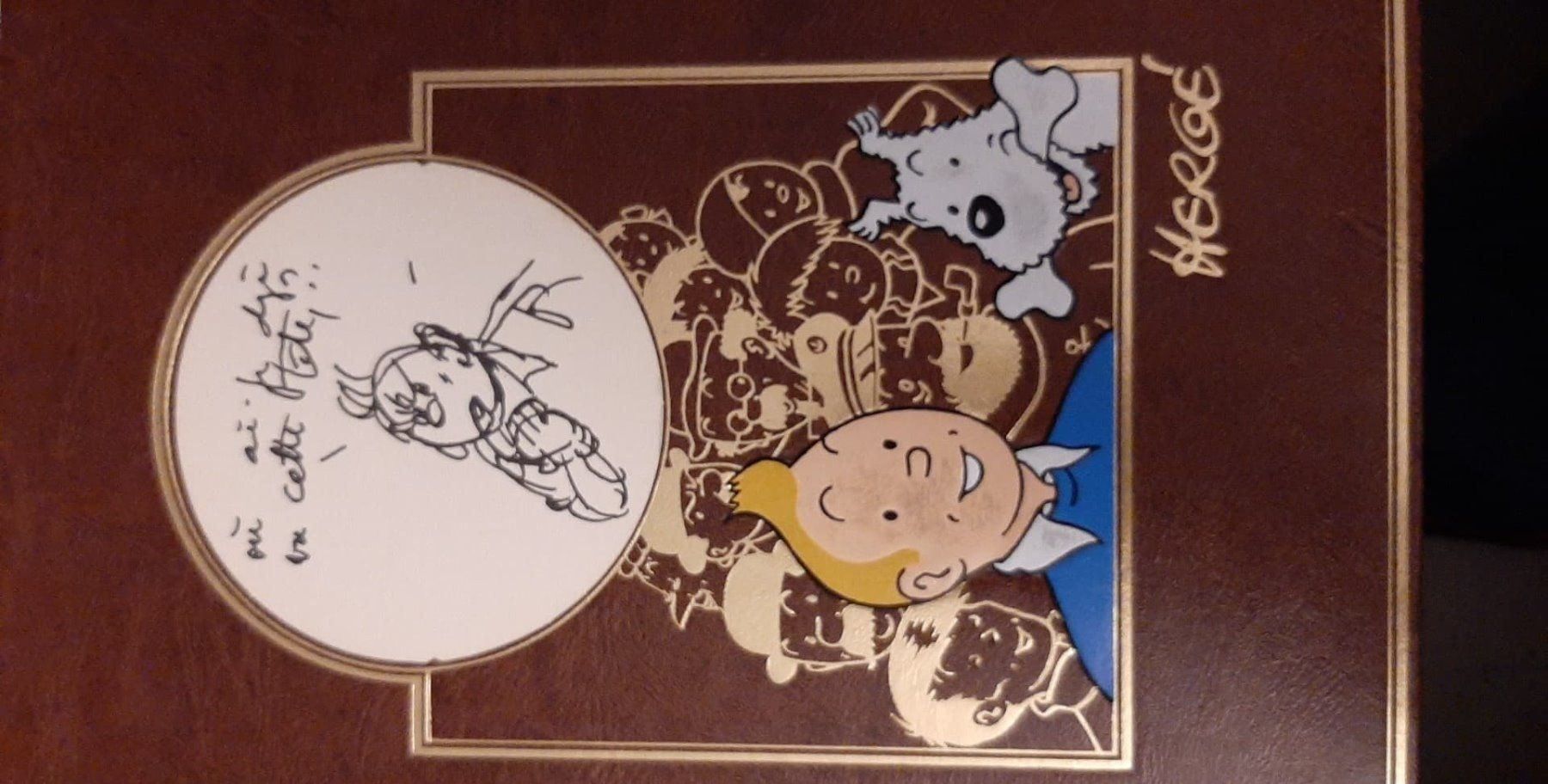 Fumetti: Tintin 13 Oeuvre Intégrale complète – Usato da Misery venduto da sexylexy1969 4