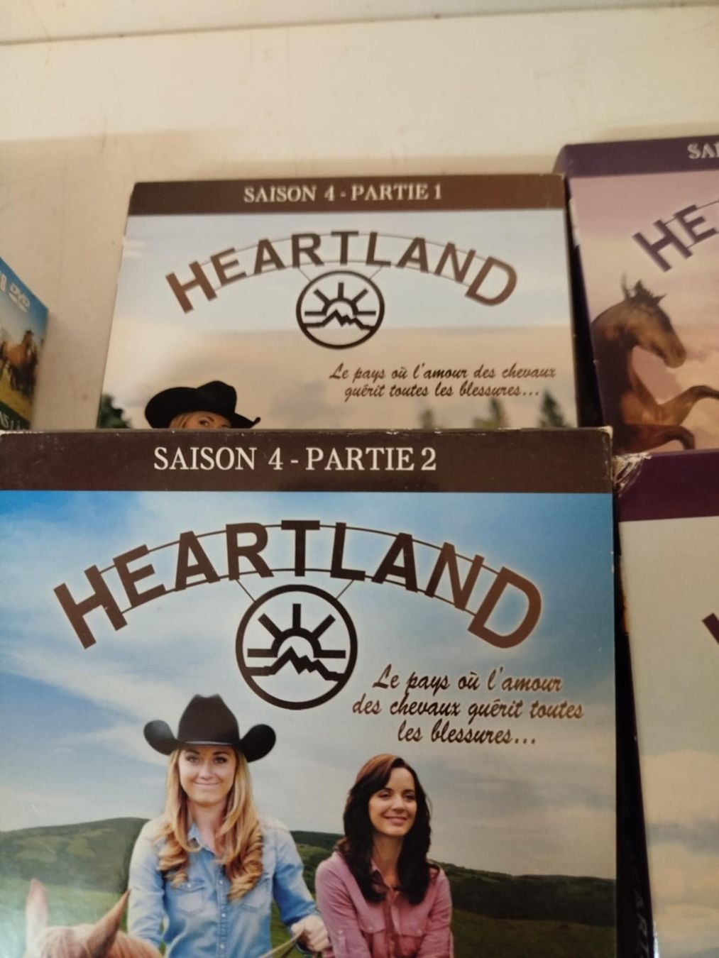 Tutti i DVDs: Dvd Heartland 1-8 – Usato da La Chaux-de-Fonds venduto da Emmaus2300CDF 2