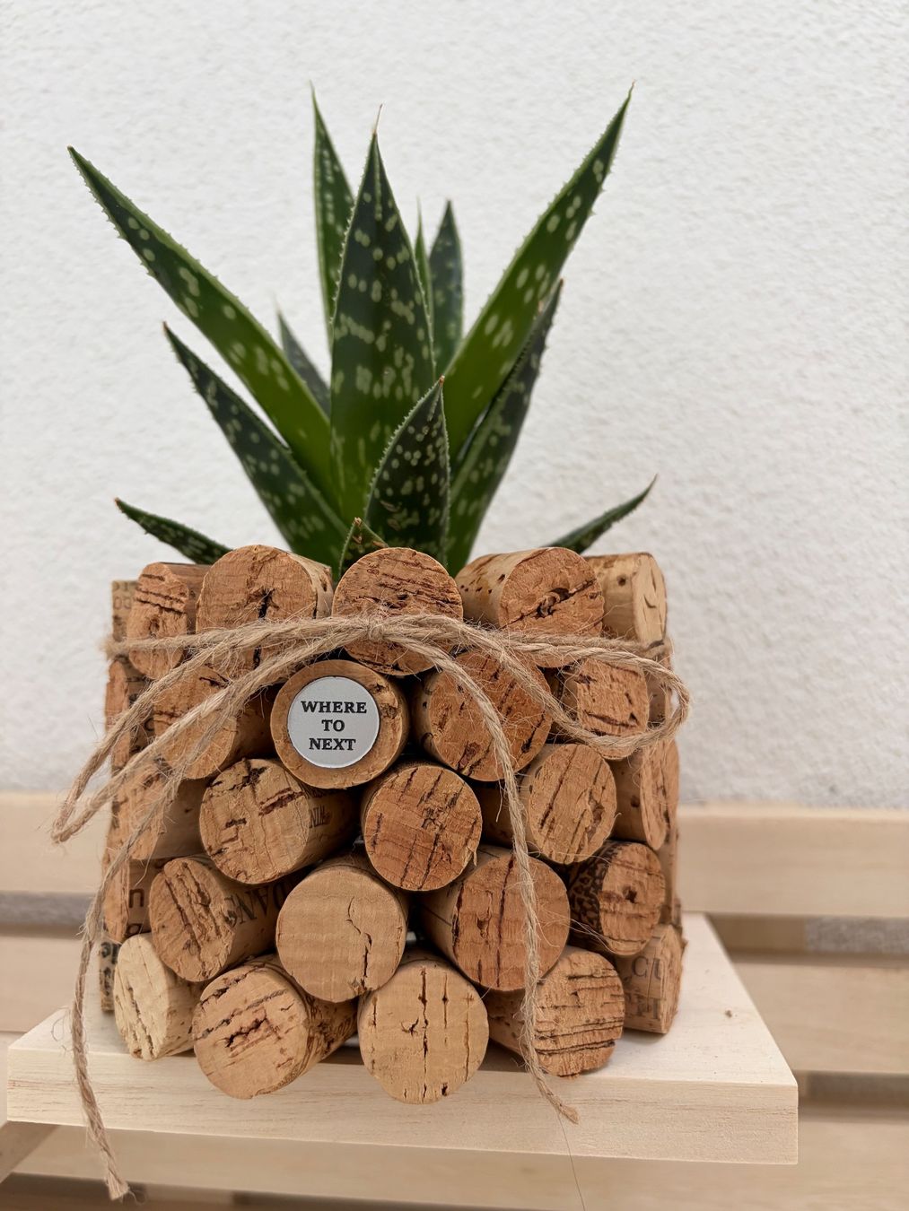 Tutte le decorazioni: Vasetti Handmade tappi sughero – Usato da SOAZZA venduto da cba_27bh 1