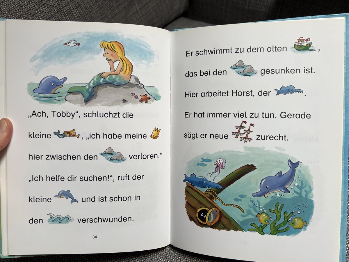 Libri: Erstlesebuch / Delfingeschichten – Nuovo (secondo la descrizione) da Kirchberg BE venduto da Bergdorf16 4