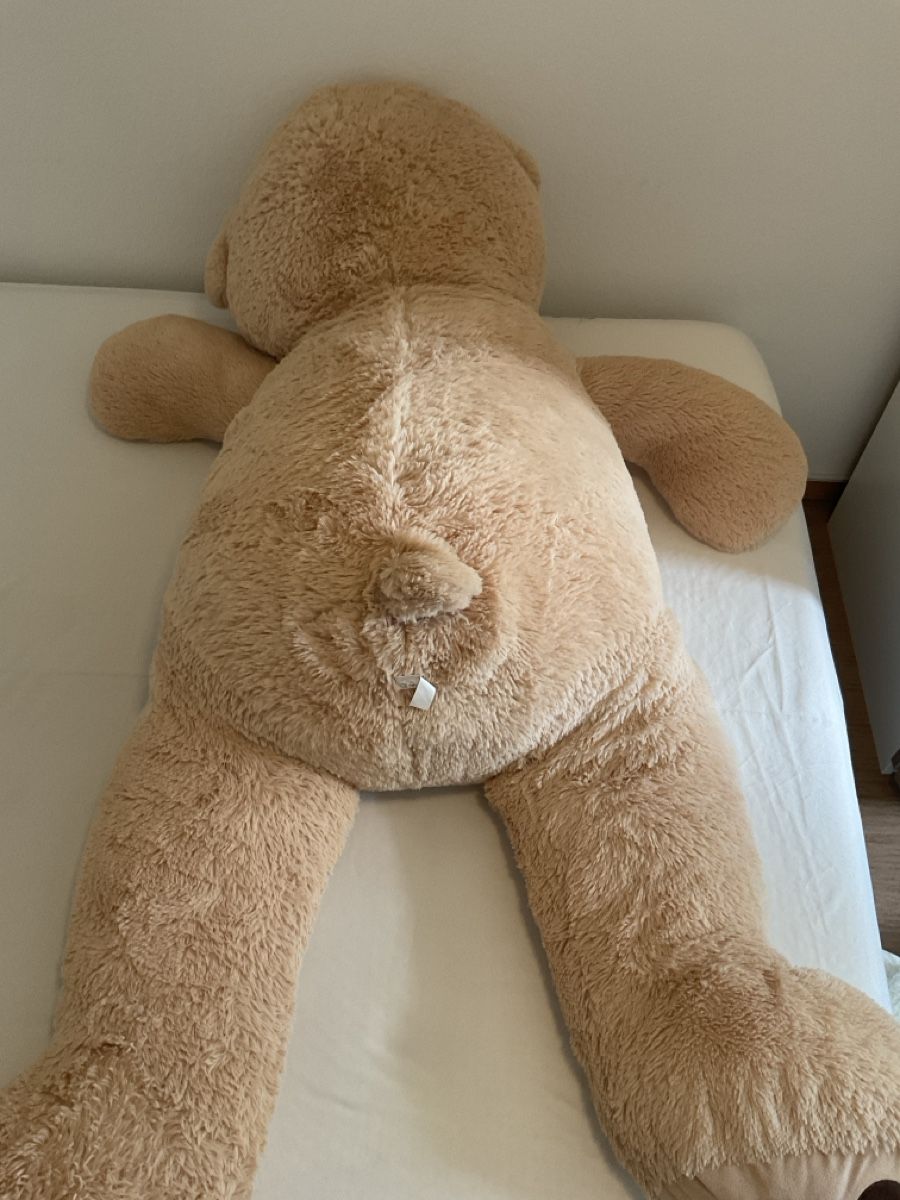 Giocattoli: Stofftier Teddybär gross beige – Usato da Zürich venduto da dedasiba 1