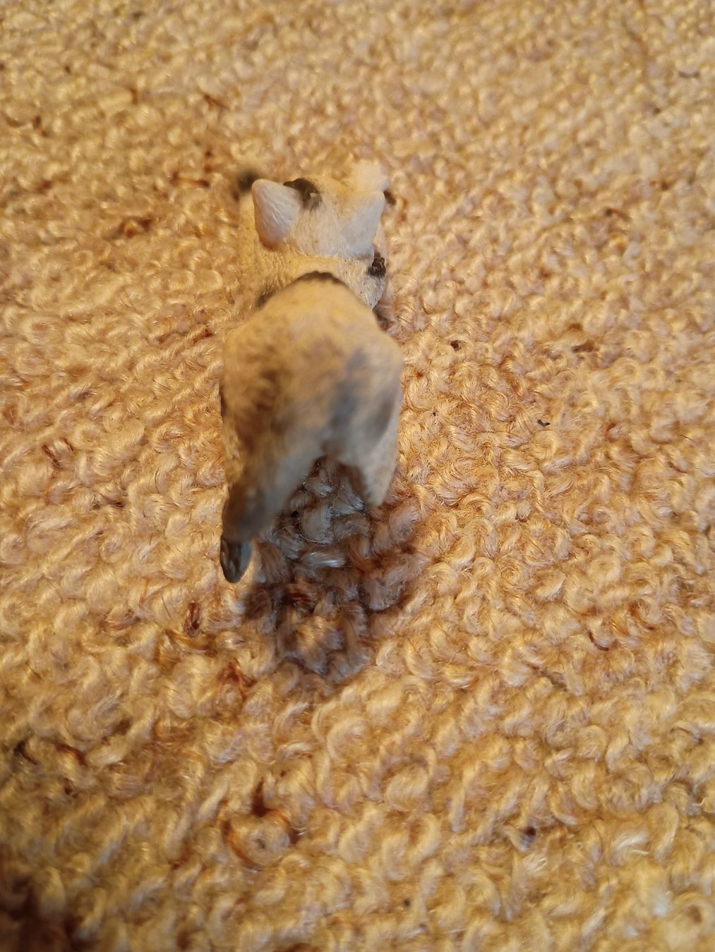 Schleich Figuren: Schleich 13677 Kater/Katze, streckend, 2010 – Neu (gemäss Beschreibung) aus Buchs AG von ReaNaTsch 3
