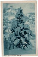 Neujahrskarte UNIUN DELS GRISCHS, gelaufen 1922