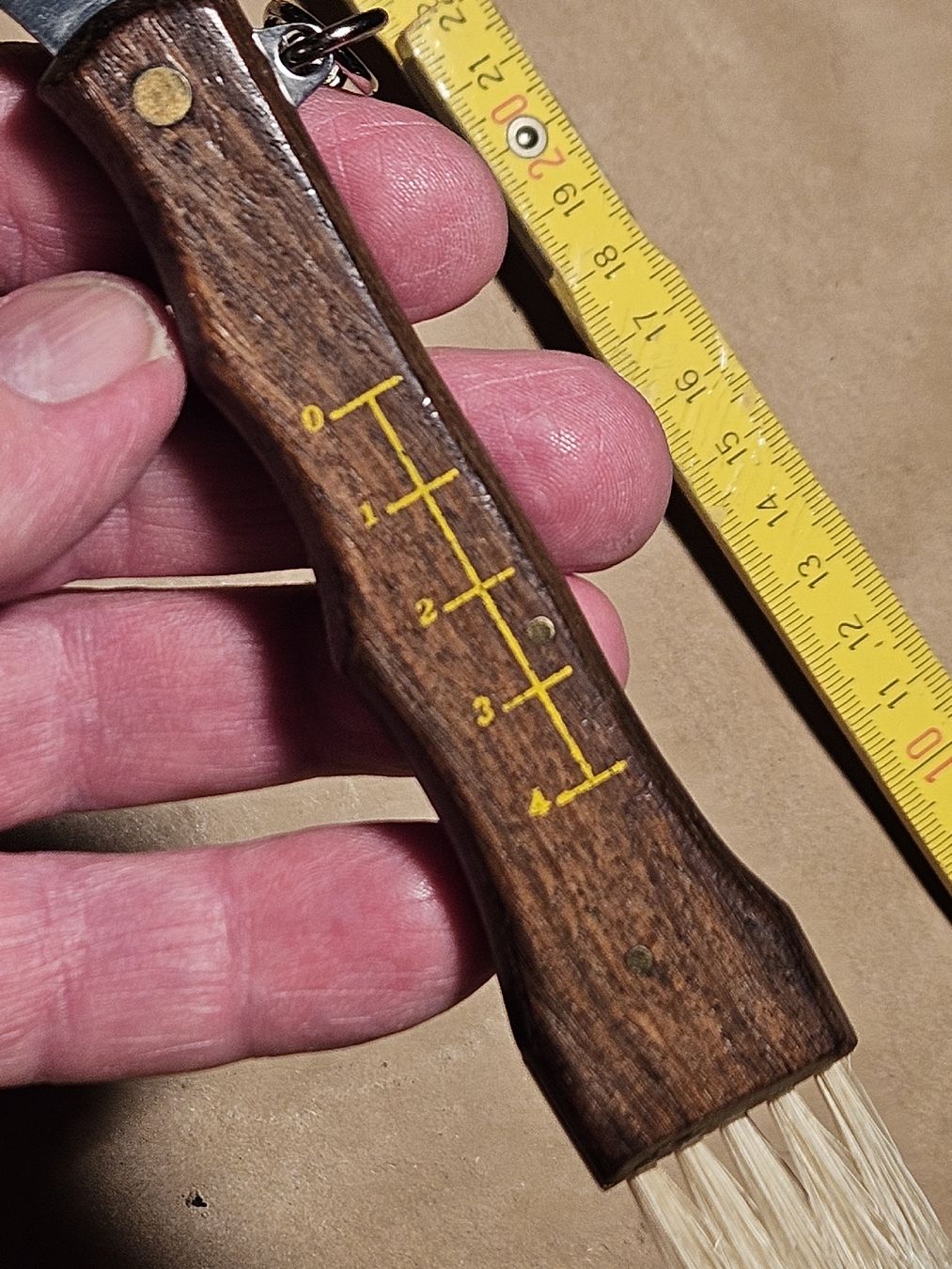 Deejo Coltelli tascabile: PILZMESSER MIT PINZETTE . – Nuovo (secondo la descrizione) da Maschwanden venduto da OliverM05 1