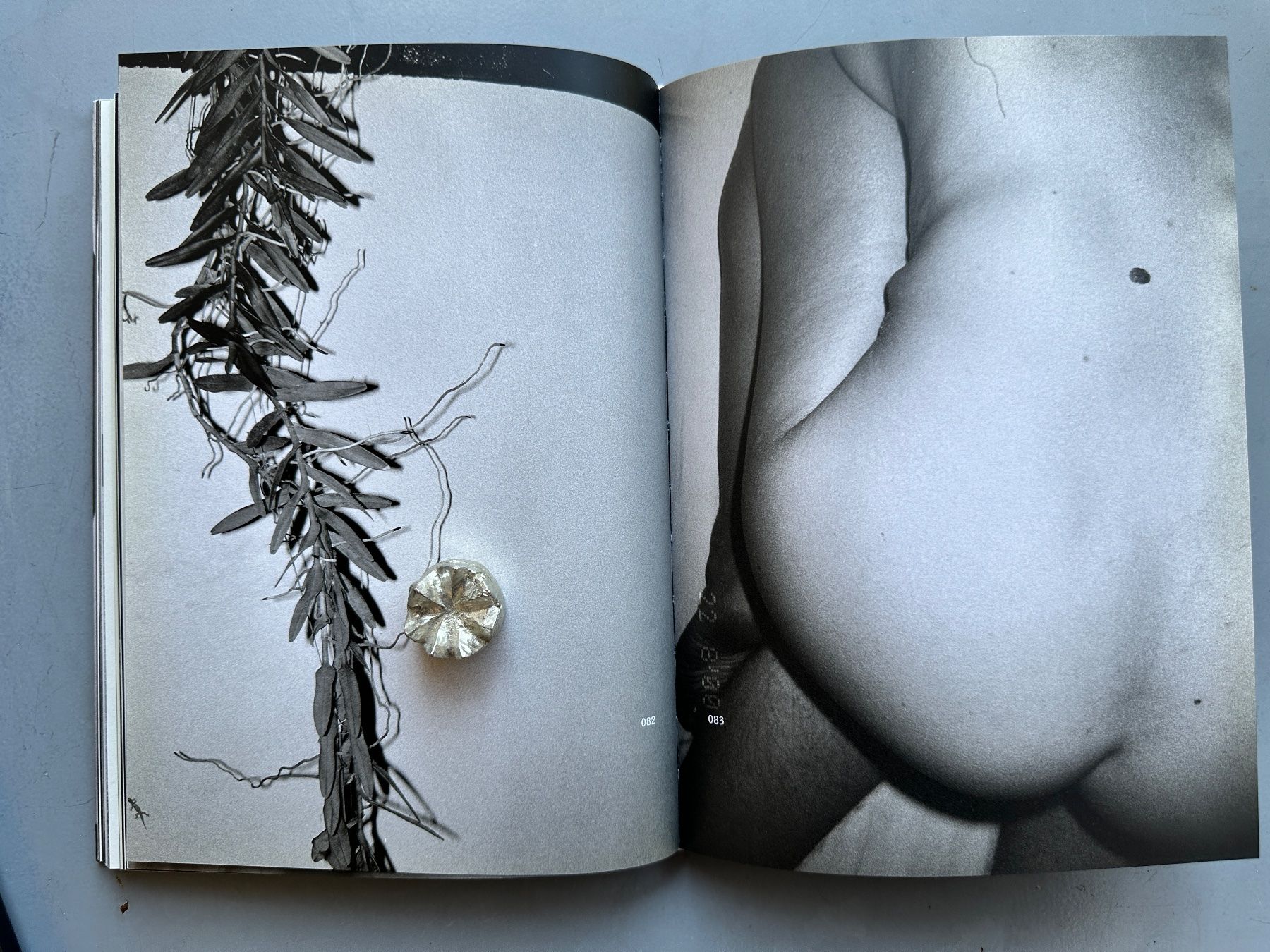 Libri: Marianne Mueller: The Proper Ornaments. – Usato da Zürich venduto da allp 7