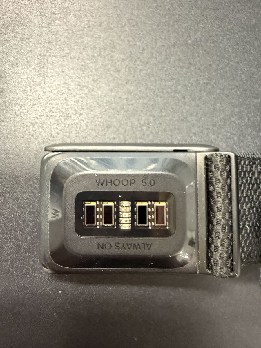 Whoop Smartwatch: WHOOP 5.0 – Gebraucht aus Morbio Superiore von Evita785 1