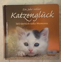 Ein Jahr voller Katzenglück Buch Weltbild