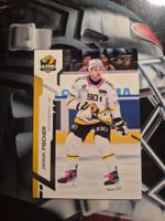 Jannik Fischer HC Ajoie Sportzoo 2024/25
