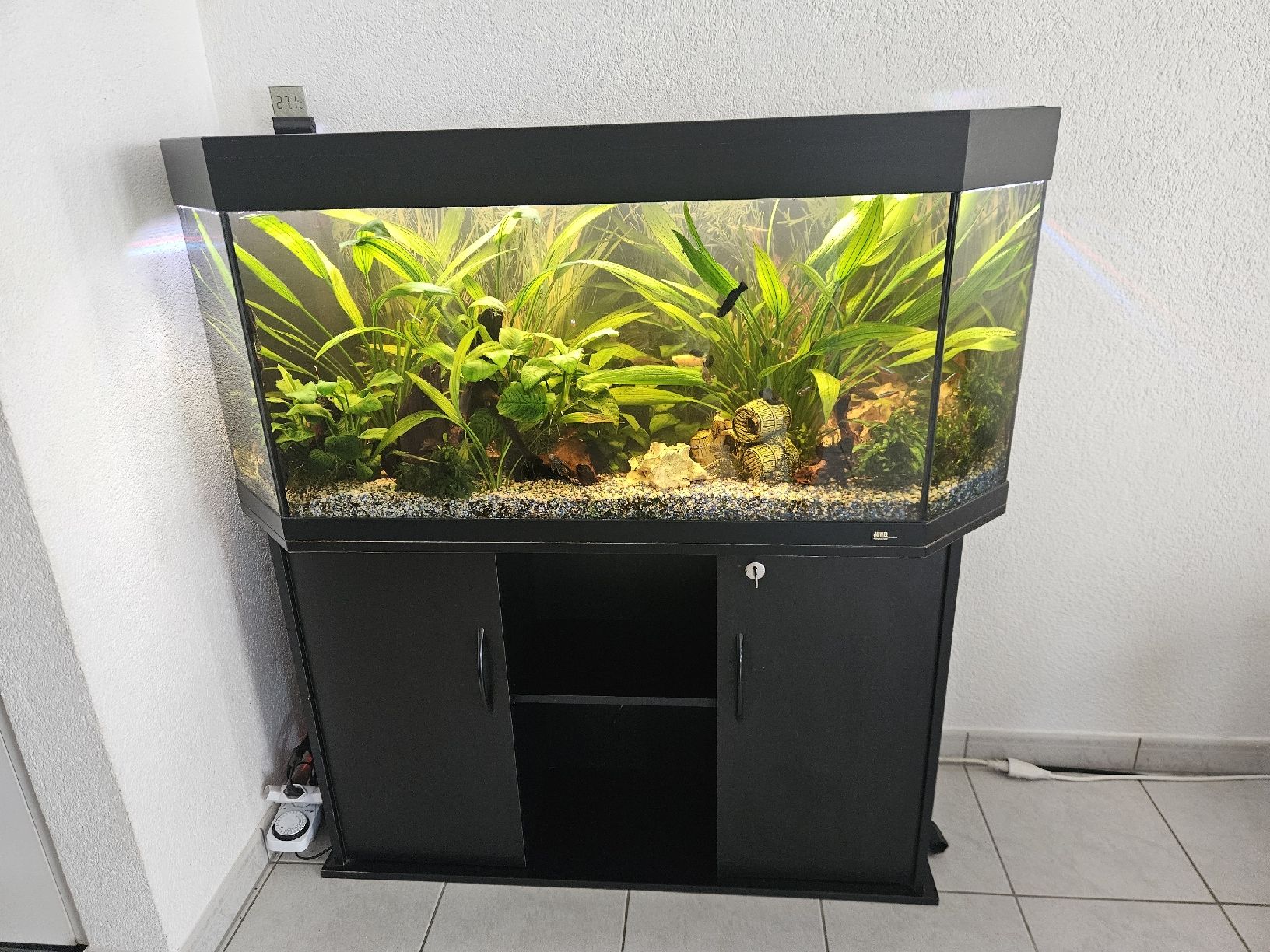 Acquari: Aquarium Juwel 250l – Usato da Gerolfingen venduto da ren_gyt6 1