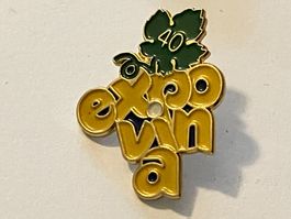 1 Pin Expo Vina