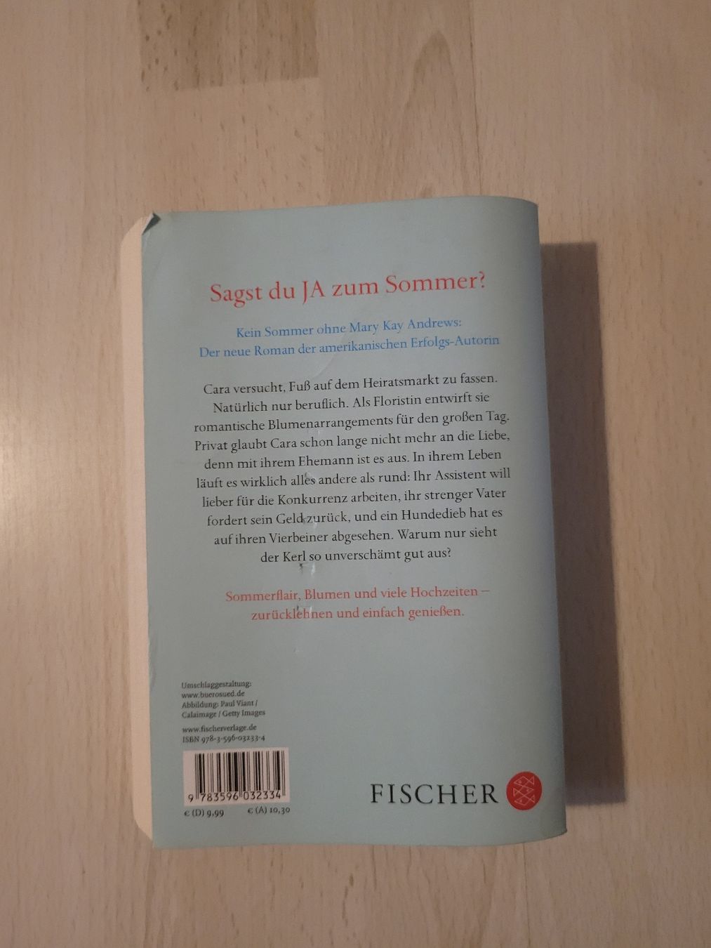 Libri: ein Ja im Sommer – Usato da Perlen venduto da Safari_23 1
