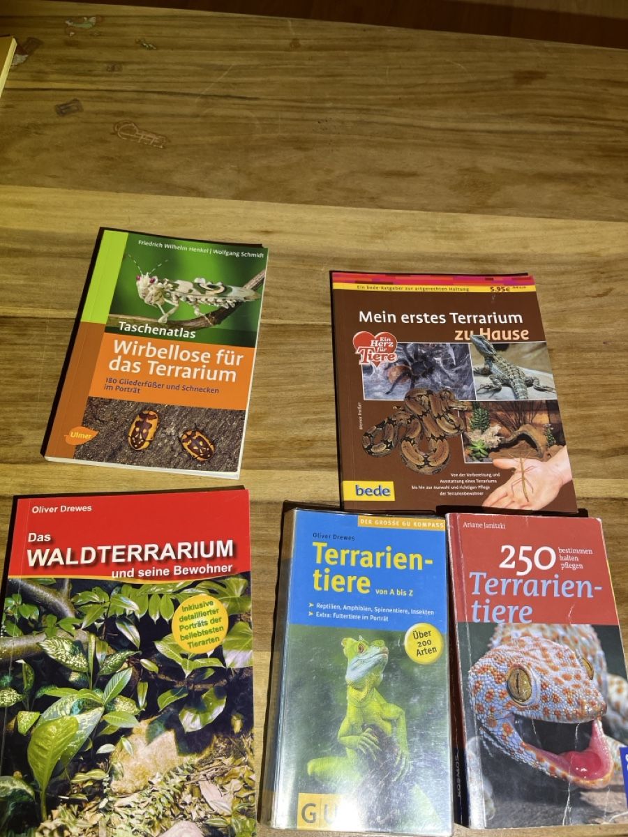 Libri: Terrarien – Usato da Siebnen venduto da Sweetrevenge