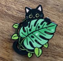 Pin Katze Monstera