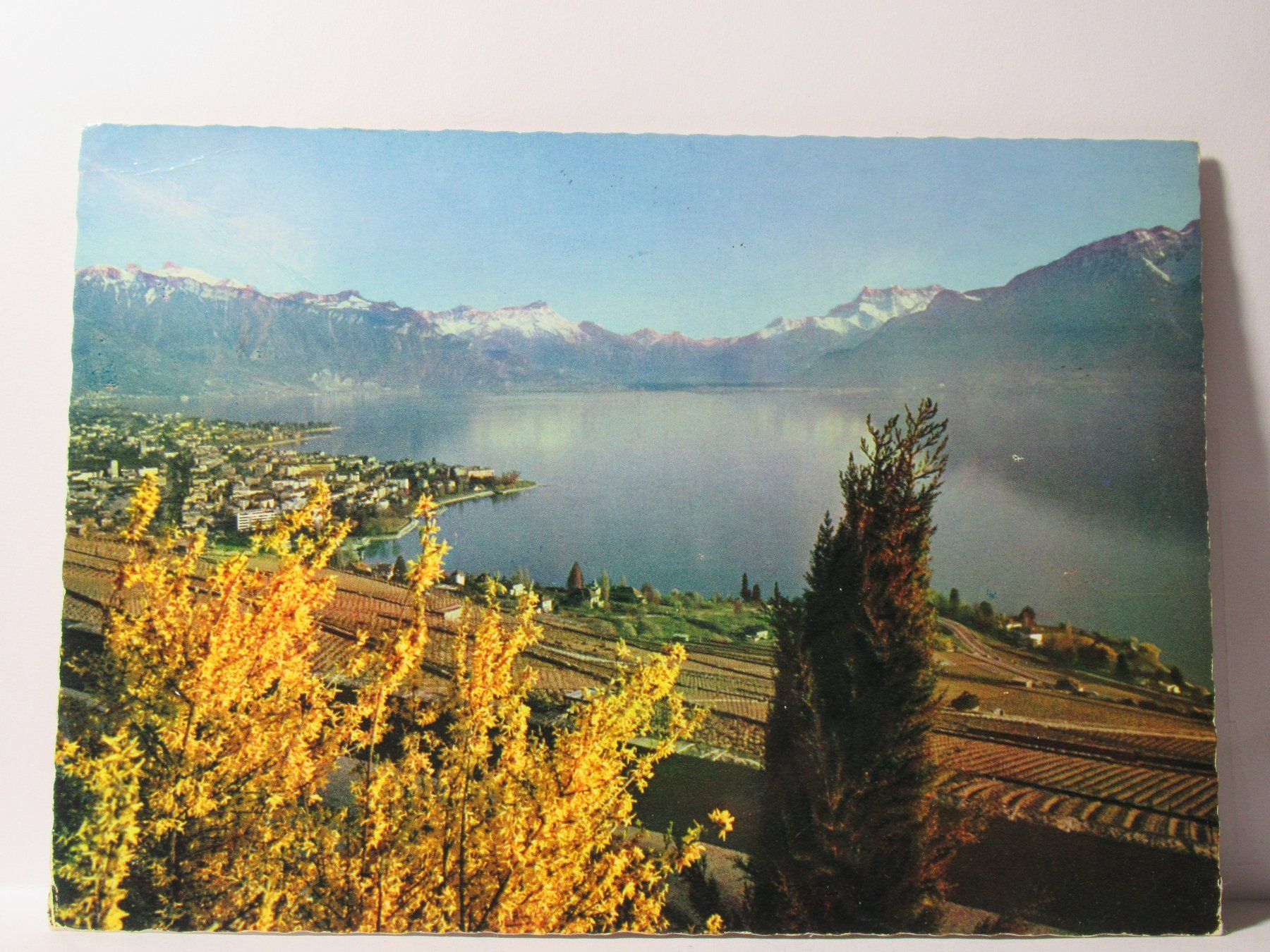 Cartoline postali: Vevey – Usato da Grenchen venduto da frechri