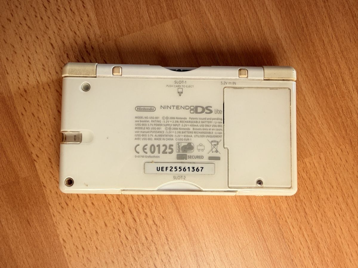 Nintendo Console: Nintendo DS Lite – Usato da Arzo venduto da bro_l99m 2