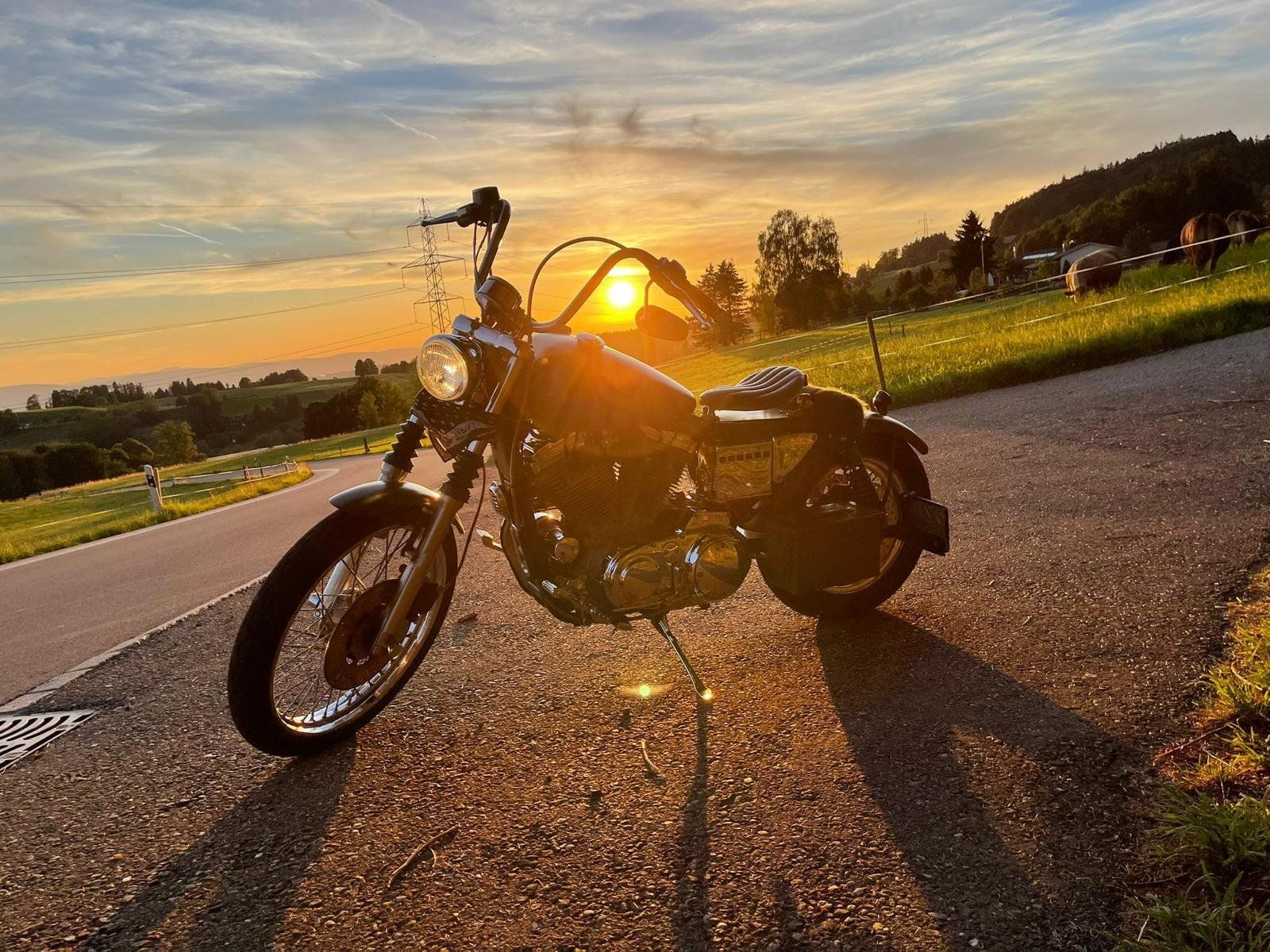 Harley-Davidson Chopper: Harley-Davidson Sportster 883 Custom-Chopper / ab MFK – Usato da Wetzikon ZH venduto da SPG02