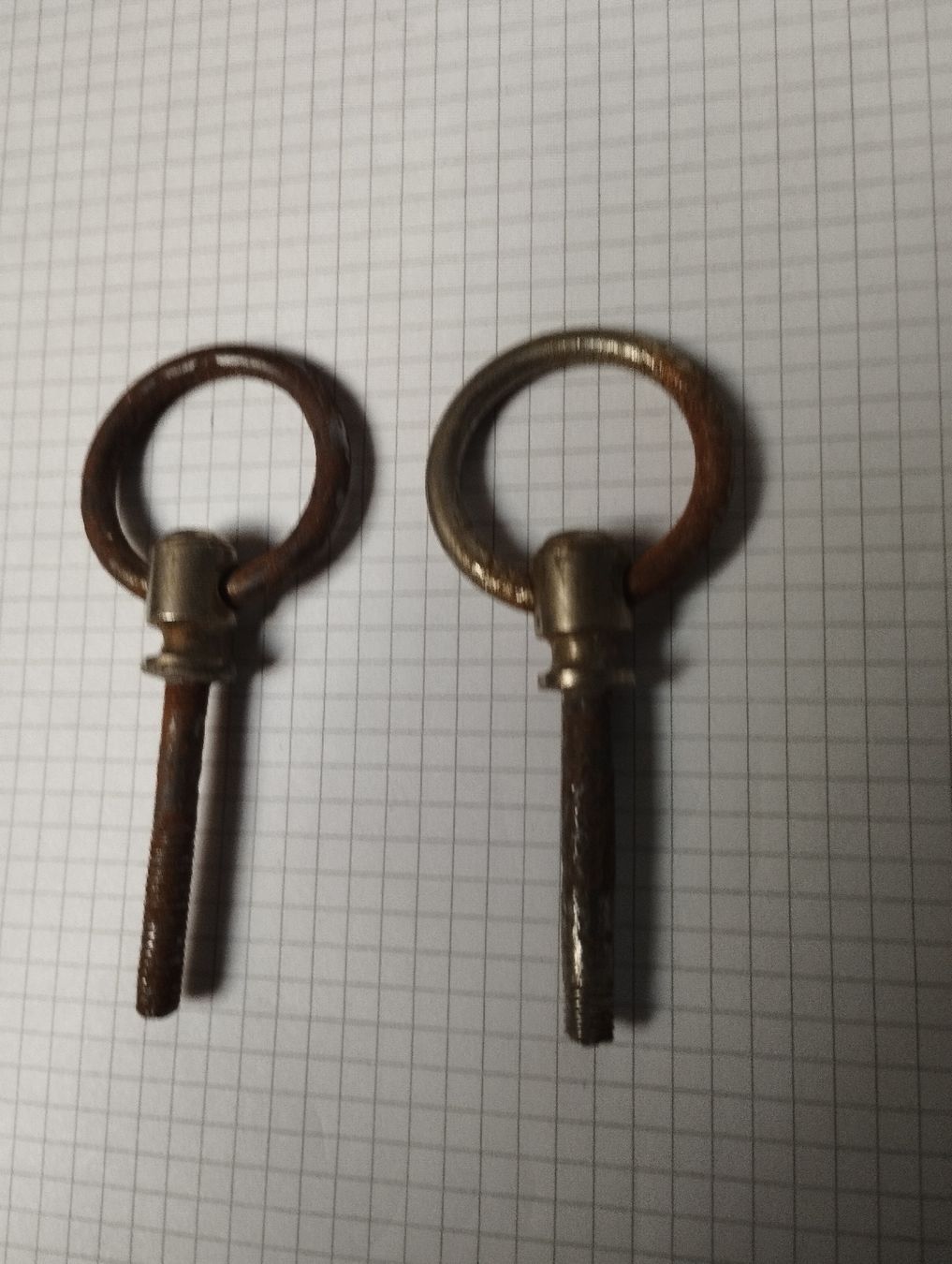 Quincaillerie: Zwei Ringbolzen mit Gewinde gebraucht – D'occasion à Ostermundigen par Dinge1