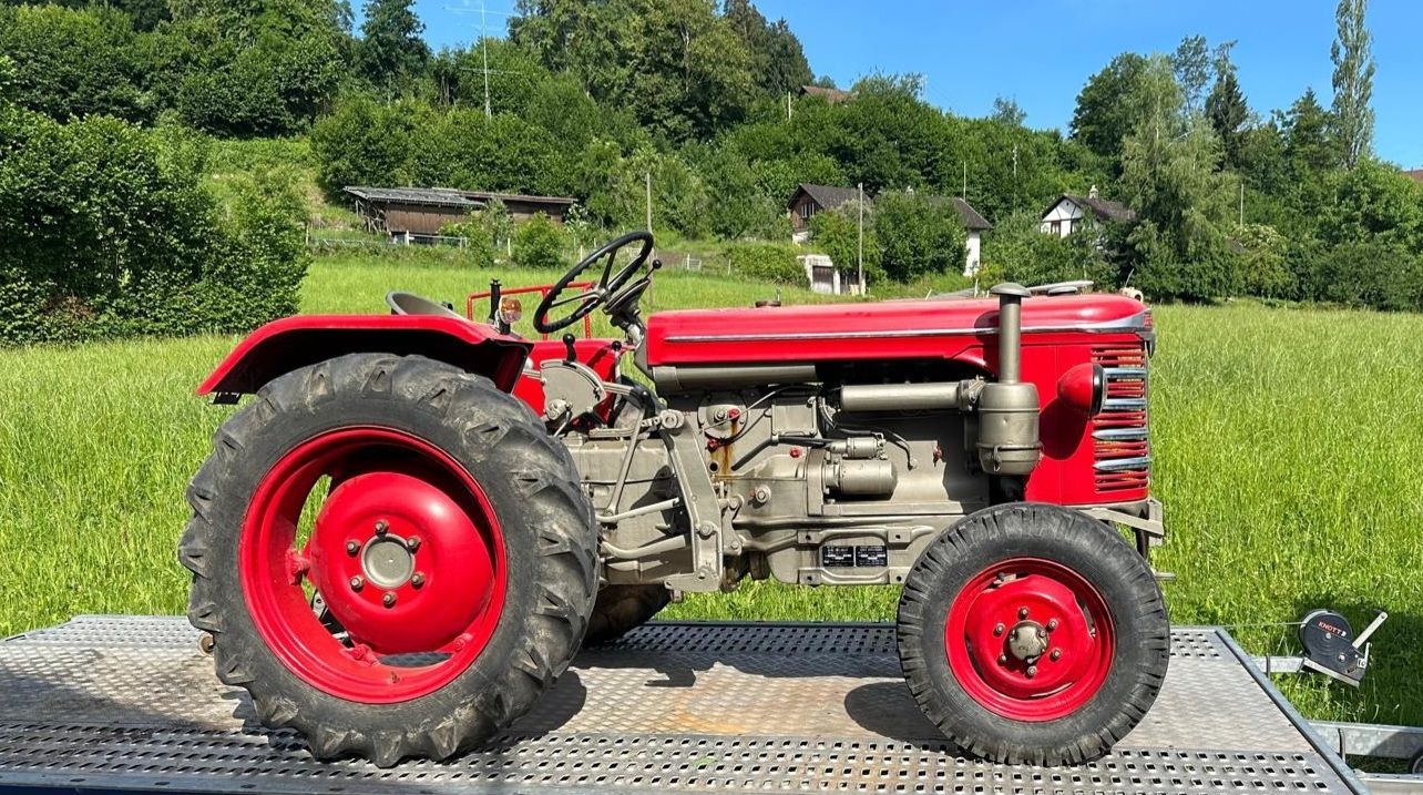 Hürlimann Trattori: Hürlimann D80 Traktor – Usato da Degersheim venduto da ReiflerAutokosmetik 3