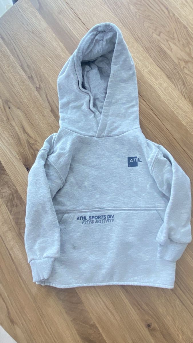 Maglioni & Felpe: 2 hoodies 2-4 jahre – Usato da Beinwil (Freiamt) venduto da Akgeun