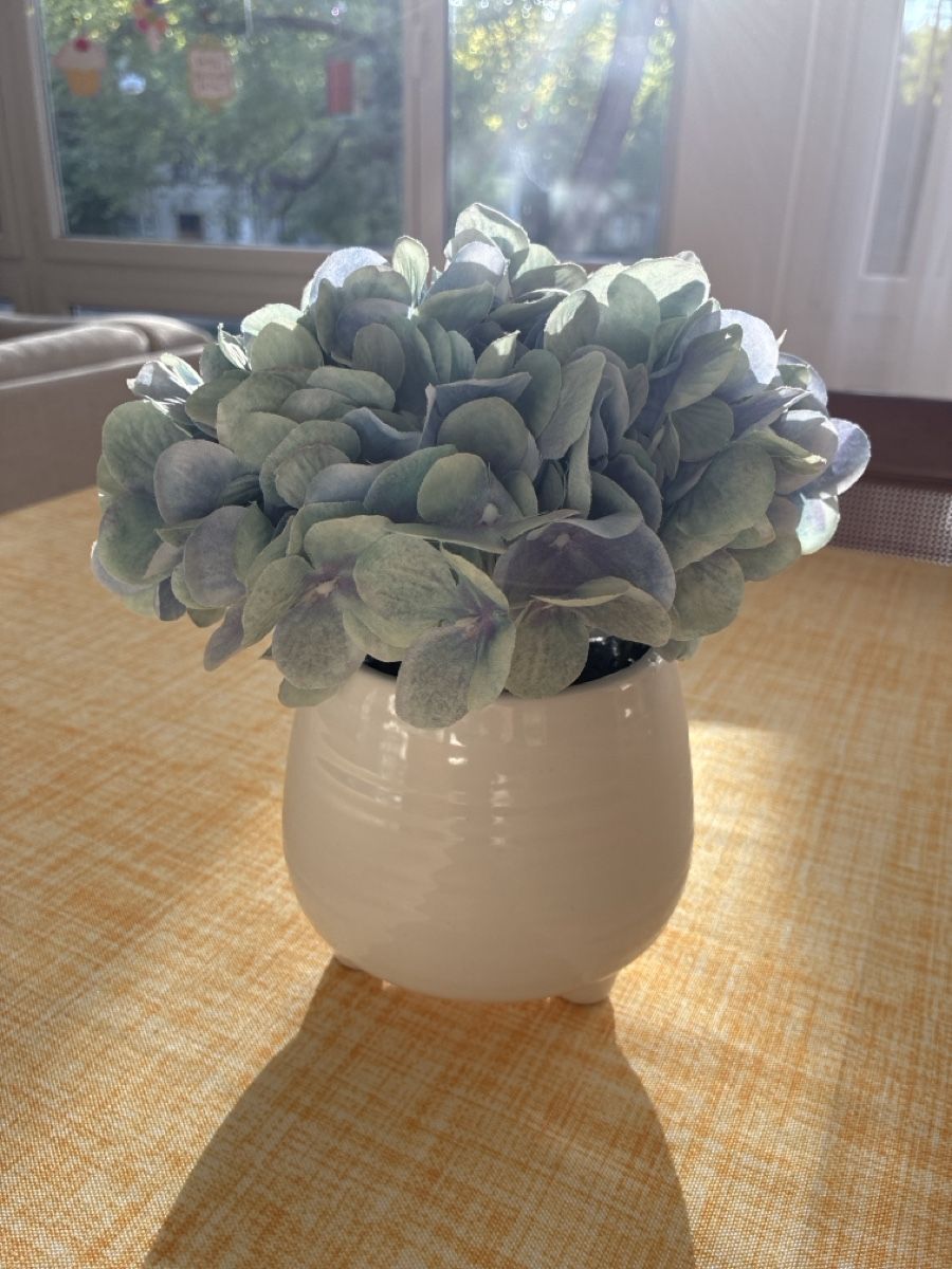 Alle Dekorationen: Artificial Hydrangea in white ceramic pot good condition – Gebraucht aus Basel von dal_r7dw