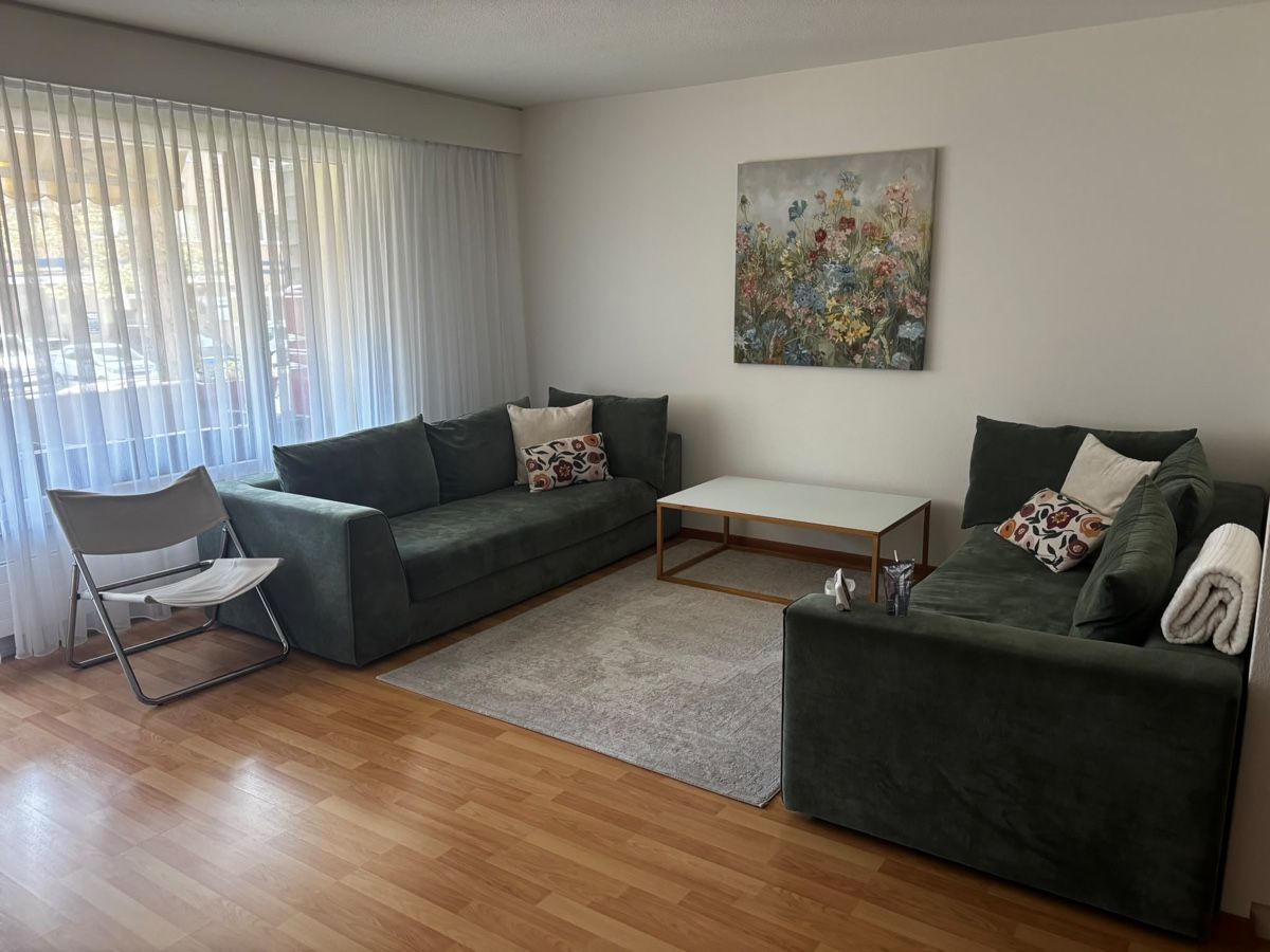 Pfister Sofas: Grüne Sofas  – Gebraucht aus Geroldswil von ridi.shaqiri